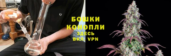 сатива Аркадак