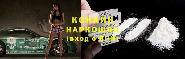 сатива Аркадак