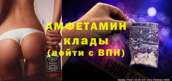 сатива Аркадак
