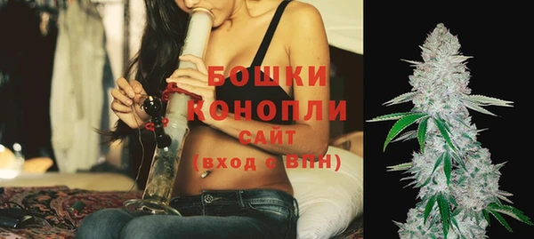 сатива Аркадак
