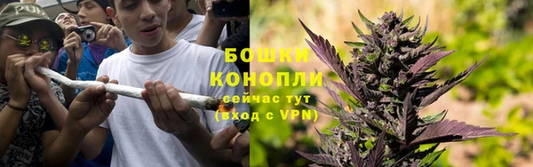 сатива Аркадак