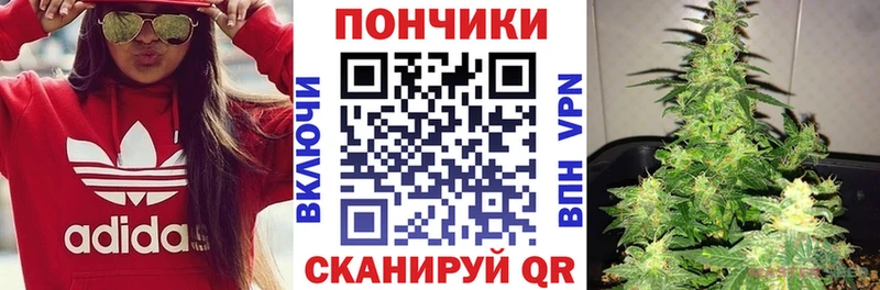 Купить  Светлогорск  Конопля сатива 